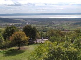 310484223 1540166699739698 7316852702189417736 n